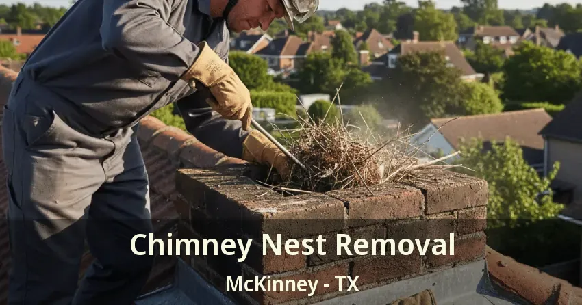 Chimney Nest Removal McKinney - TX Chimney Nest Removal McKinney - TX