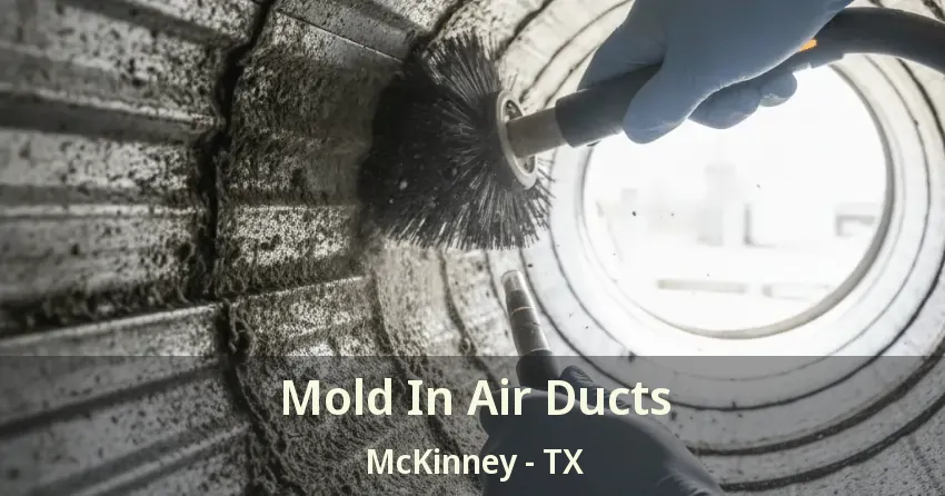 Mold In Air Ducts McKinney - TX