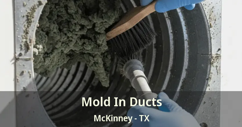 Mold In Ducts McKinney - TX