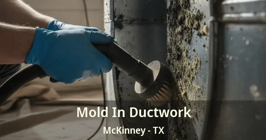 Mold In Ductwork McKinney - TX Mold In Ductwork McKinney - TX