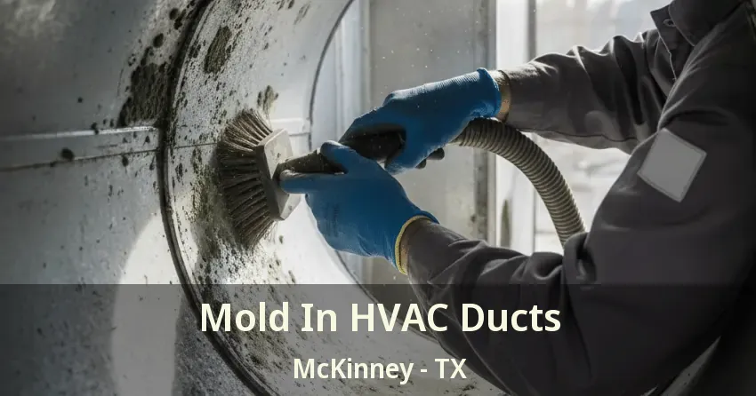 Mold In HVAC Ducts McKinney - TX