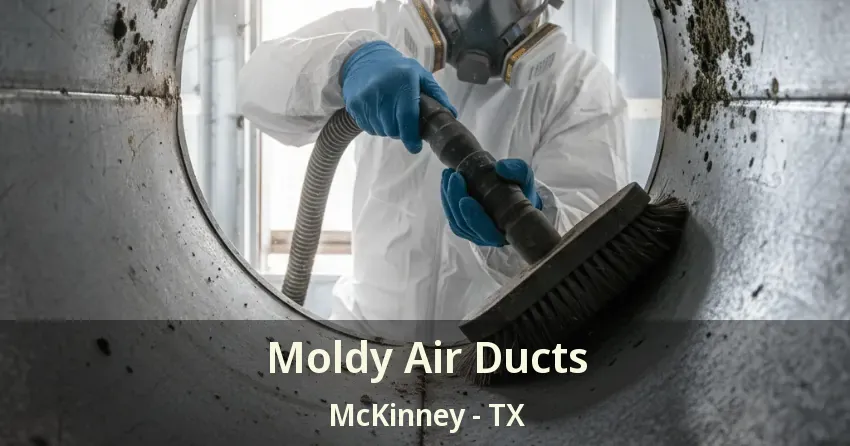 Moldy Air Ducts McKinney - TX Moldy Air Ducts McKinney - TX
